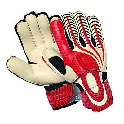 Goalkeeper Gloves